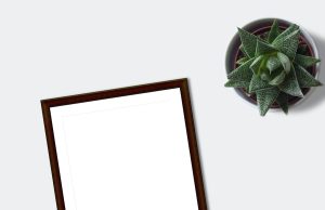 A101’in E-Ticaret Yolculuğu ve Sektördeki Etkisi A101’in E-Ticaret Yolculuğu ve Sektördeki Etkisi