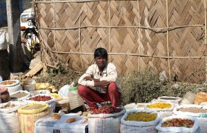 Ticimax’in Güncel Durumu ve Pazar Payı Ticimax'in Güncel Durumu ve Pazar Payı